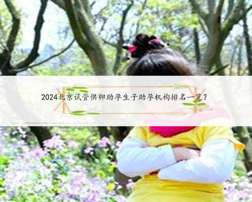 2024北京试管供卵助孕生子助孕机构排名一览？