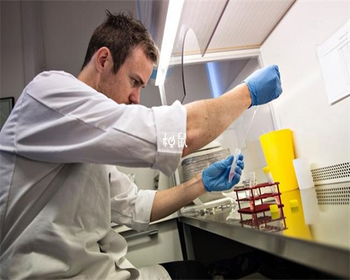 南京供卵治疗纳入医保报销范围