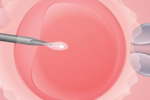 南京试管政策调整：社保缴纳年限缩短方案