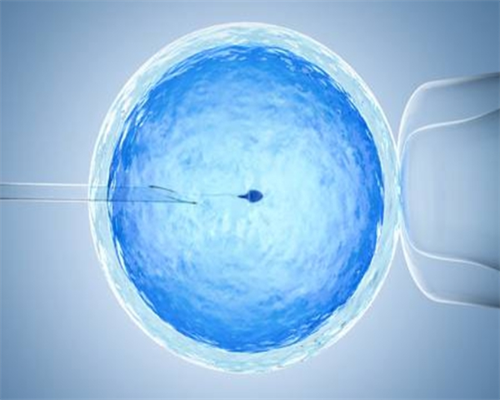 南京试管供卵家庭心理辅导必要性探讨