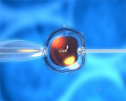 南京试管流程：古都的现代助孕科技与流程