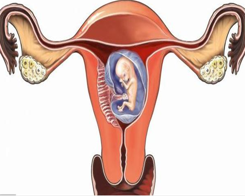 年度生育政策调整：南京供卵报销启动