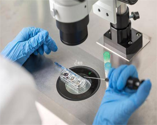 南京与武汉试管费用对比，哪个城市更亲民？