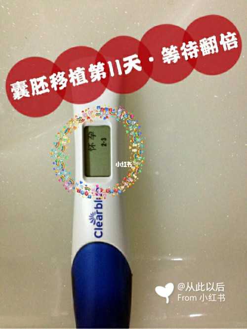 本地宝妈亲测：南京哪家供卵医院口碑最好