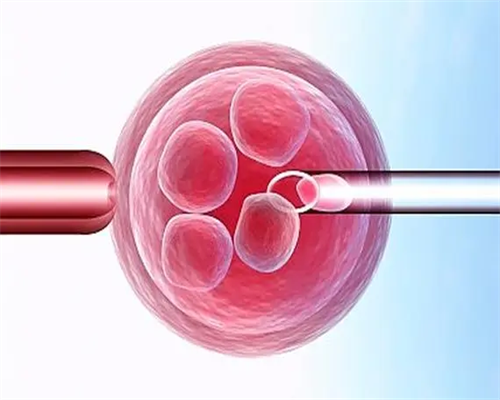南京夫妇福音：生育保险覆盖供卵治疗